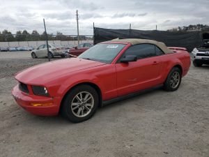 Ford Mustang 4.0L 6 2005