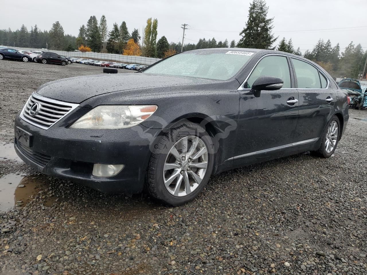 Lexus LS 460L 4.6L 8 2010