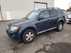 Ford Escape XLT 2.5L 4 2009