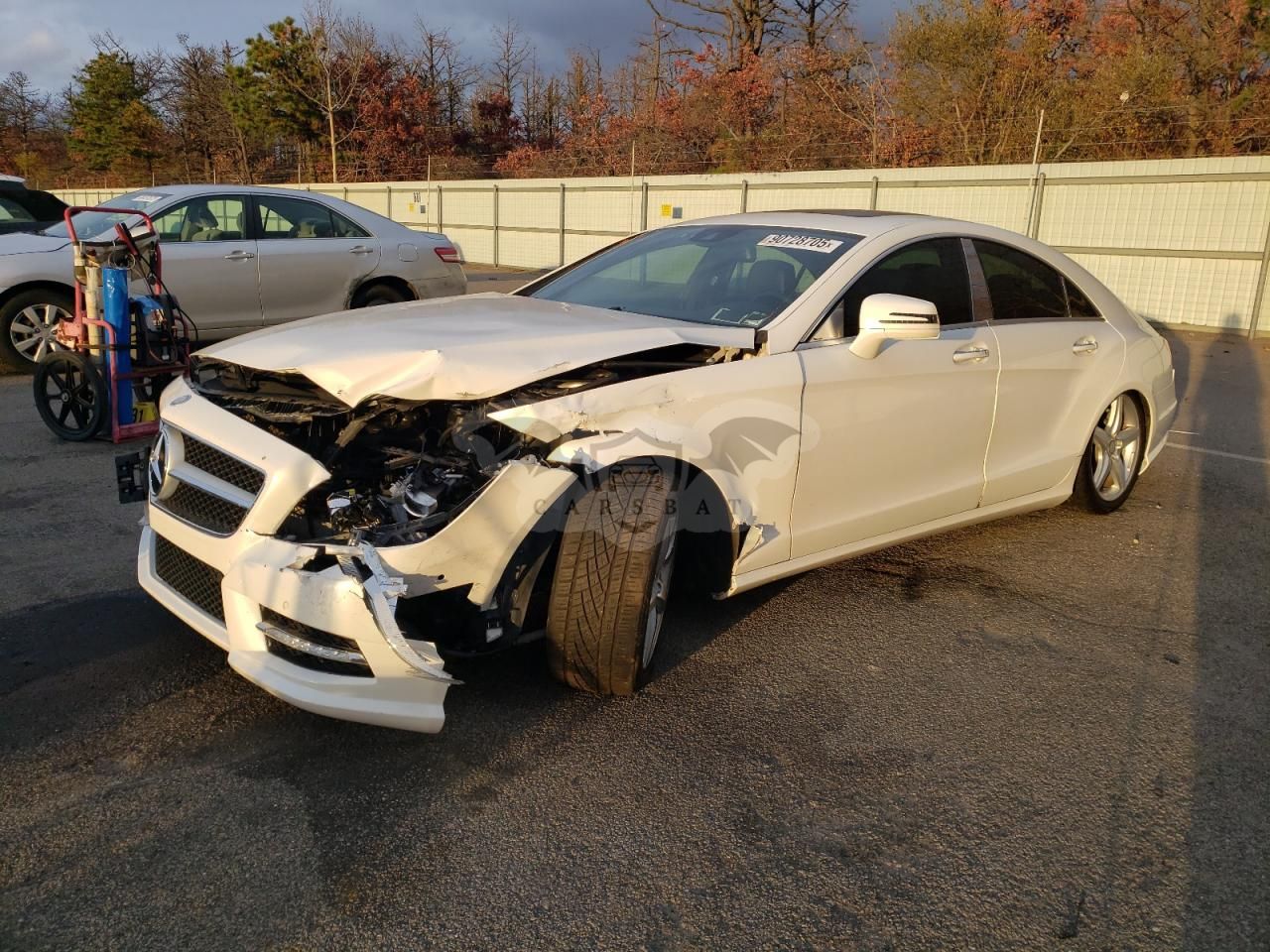Mercedes-Benz CLS 550 4MATIC 4.6L 8 2014