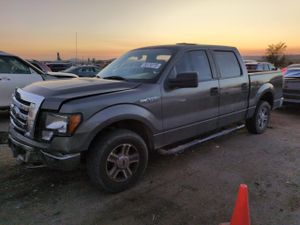 Ford F-150 SUPERCREW 5.4L 8 2009