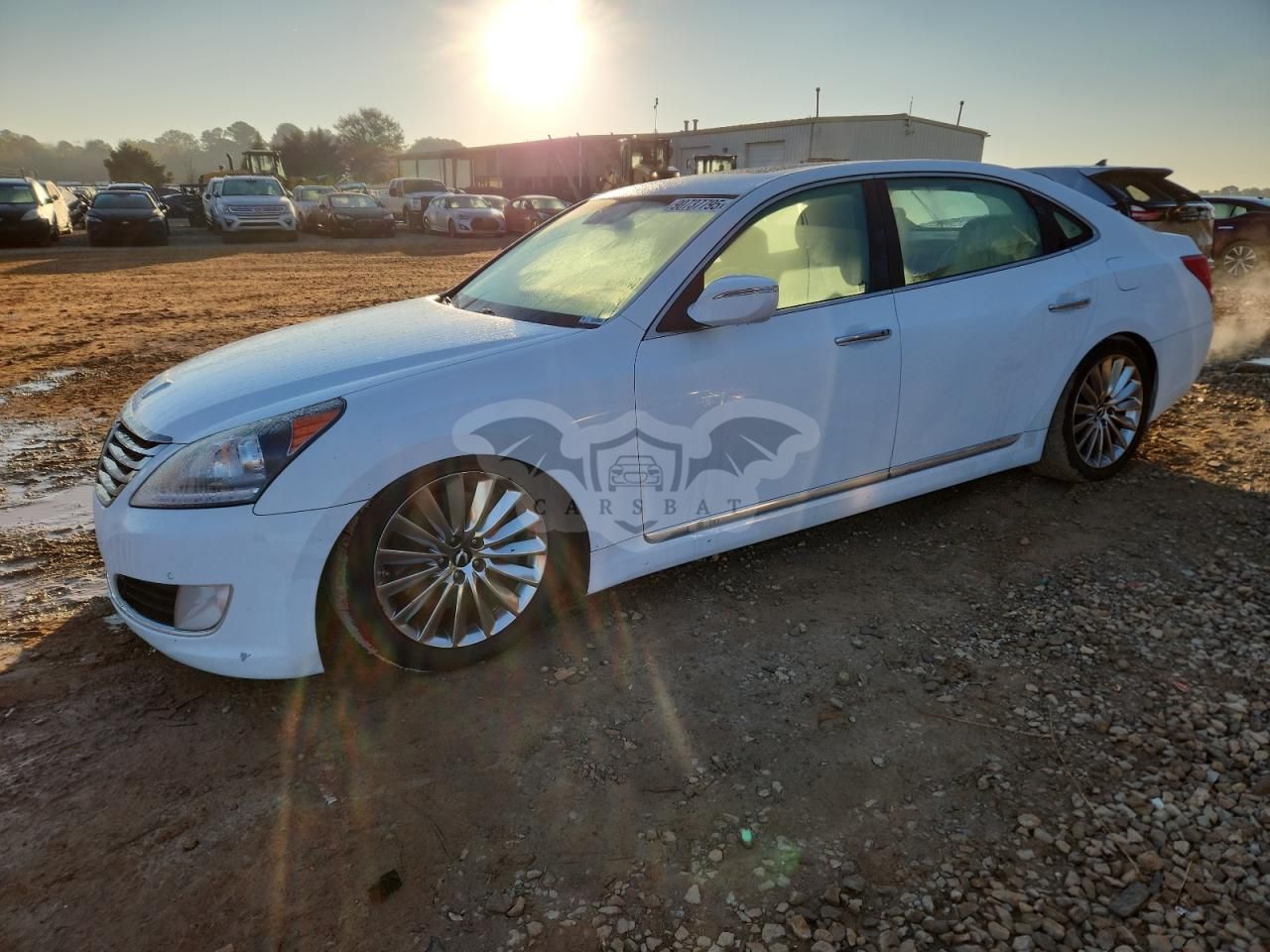 Hyundai Equus SIGNATURE 5.0L 8 2014