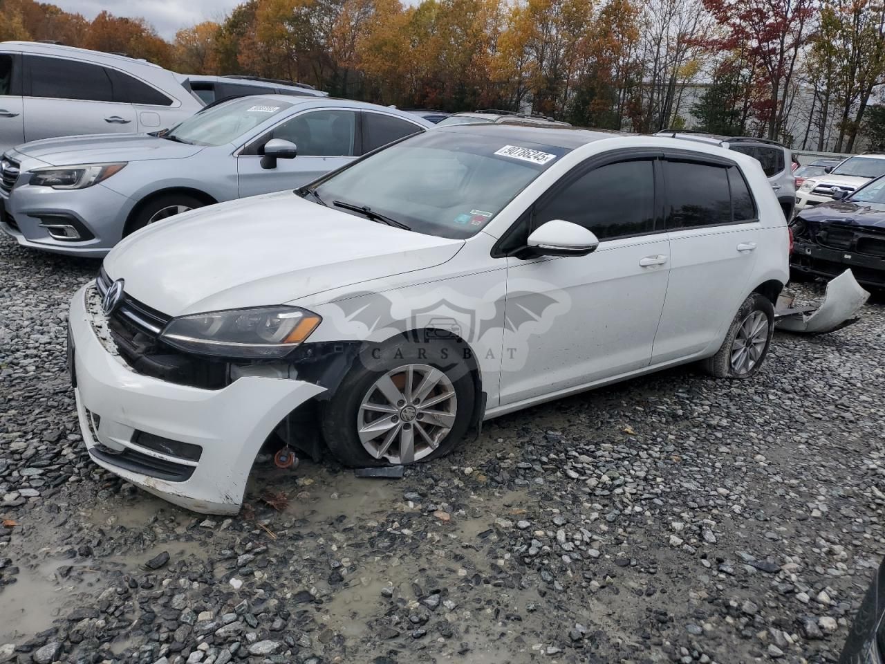 Volkswagen Golf 1.8L 4 2015