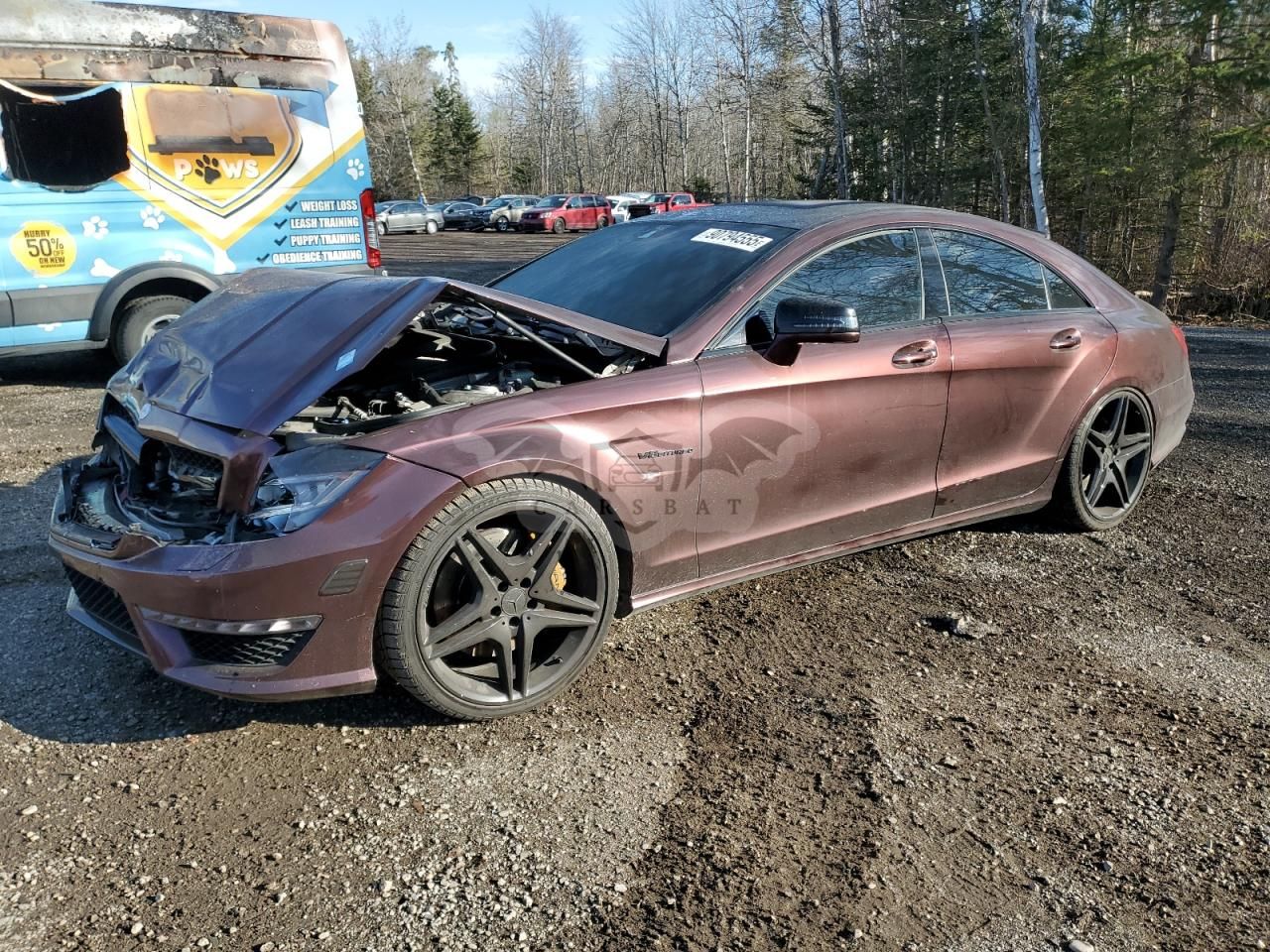 Mercedes-Benz CLS 63 AMG 5.5L 8 2012