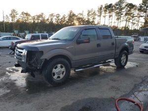 Ford F-150 SUPERCREW 5.4L 8 2009