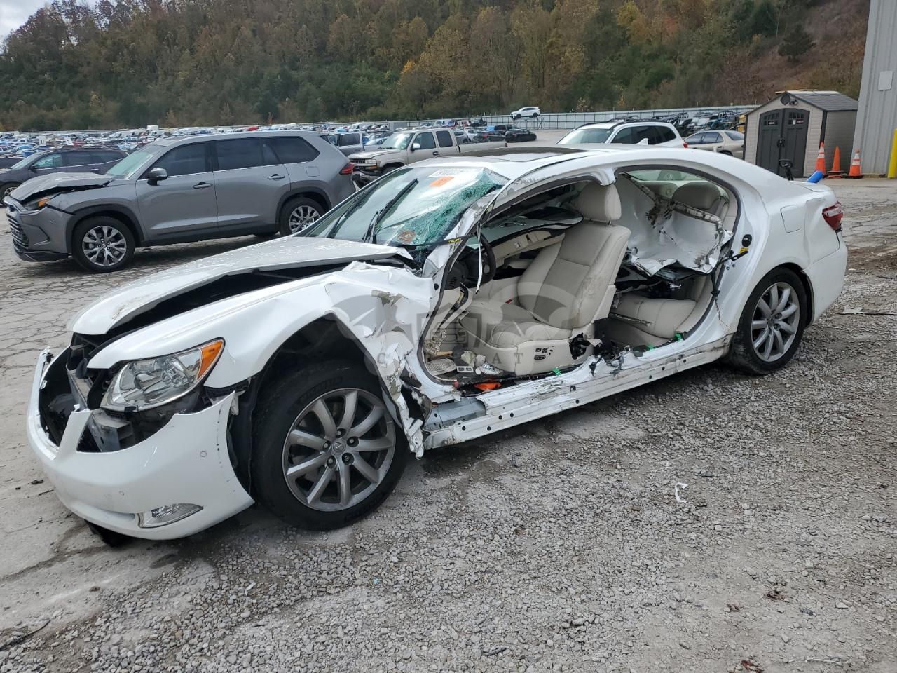 Lexus LS 460 4.6L 8 2008