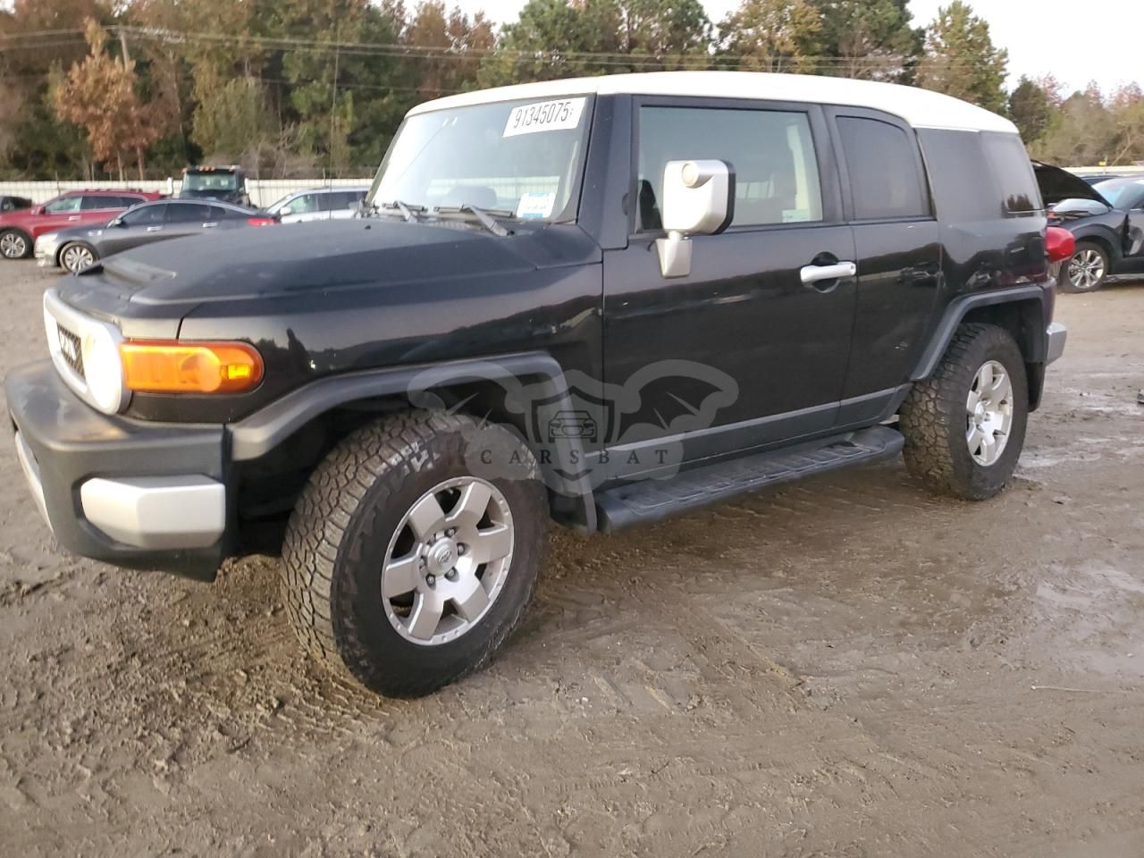 Toyota FJ Cruiser 4.0L 6 2008