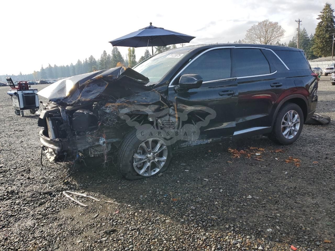 Hyundai Palisade SE 3.8L 6 2022
