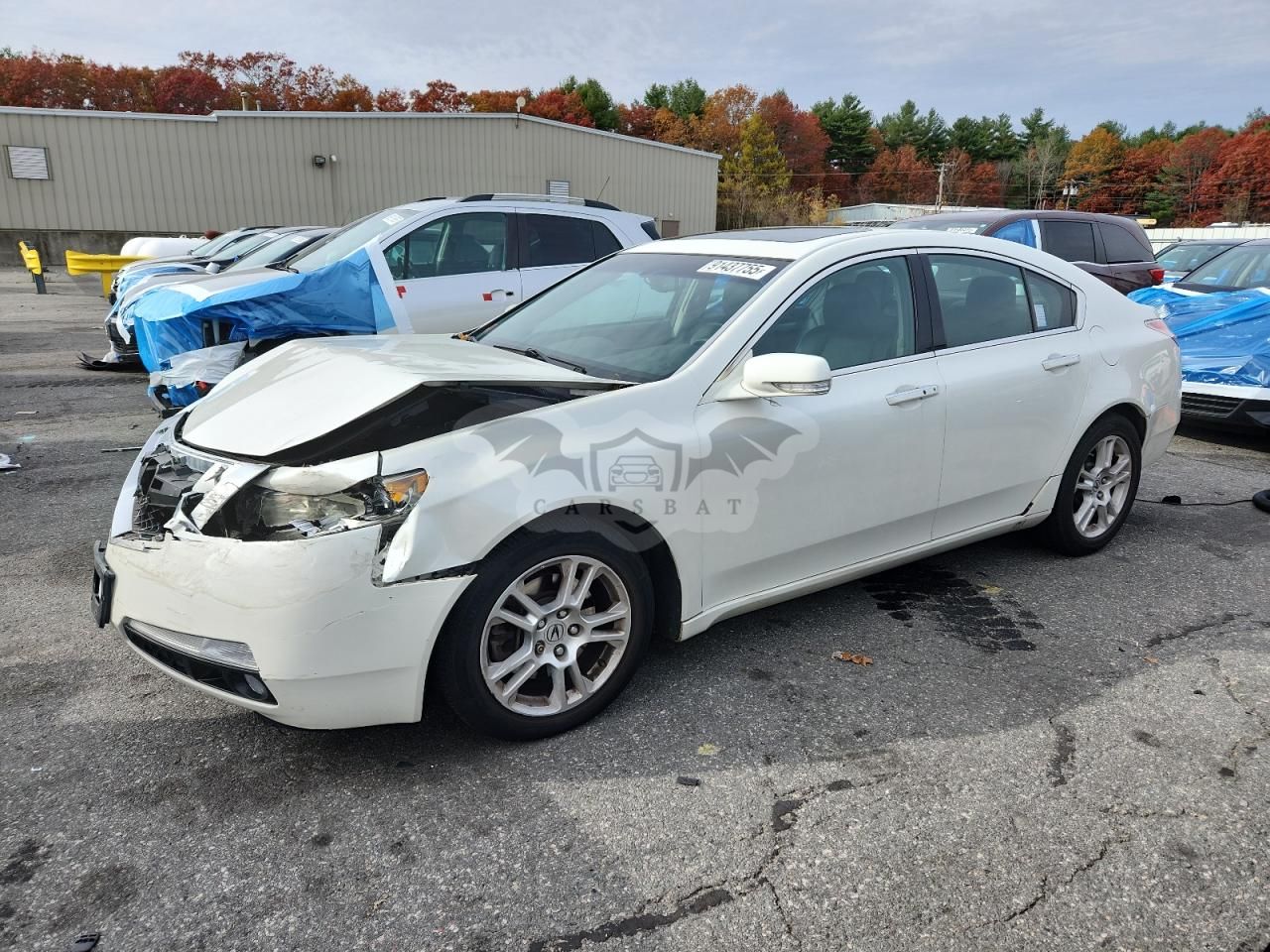 Acura TL 3.5L 6 2010