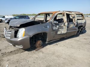 Cadillac Escalade ESV PLATINUM 6.2L 8 2013