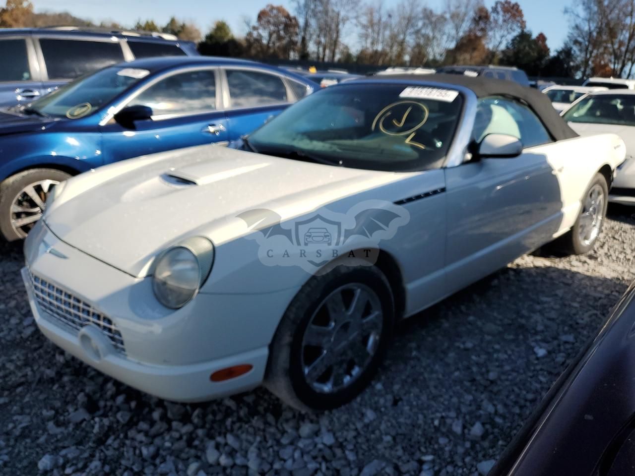 Ford Thunderbird 3.9L 8 2002