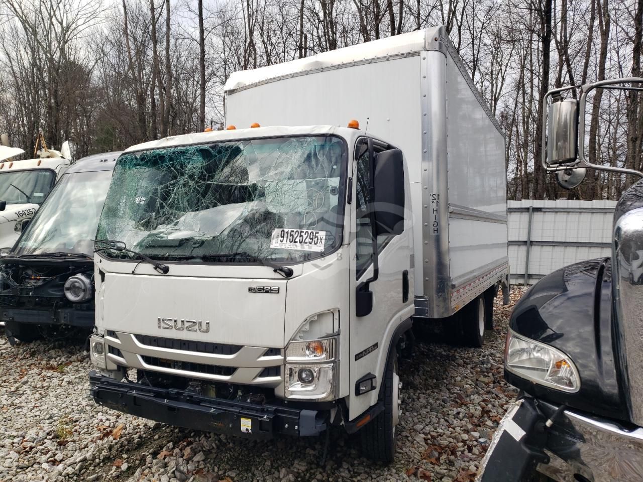 Isuzu NPR 6.6L 8 2024