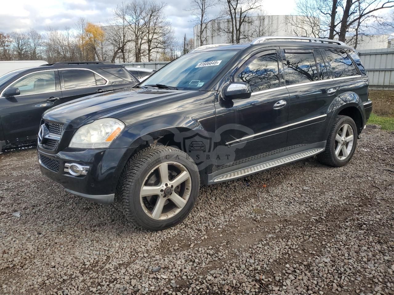 Mercedes-Benz GL 450 4MATIC 4.6L 8 2009