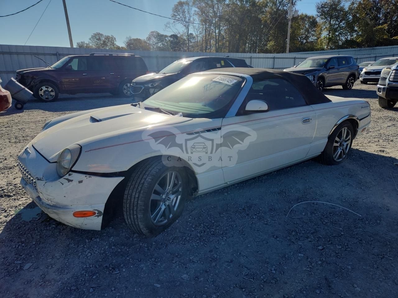 Ford Thunderbird 3.9L 8 2002