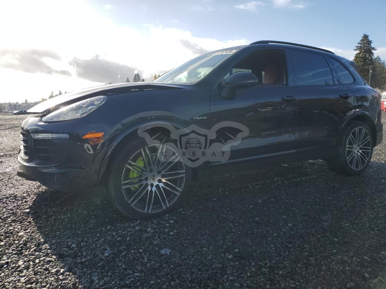 Porsche Cayenne SE HYBRID PLATINUM 3.0L 6 2018