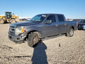 Ford F-150 SUPERCREW 5.0L 8 2013