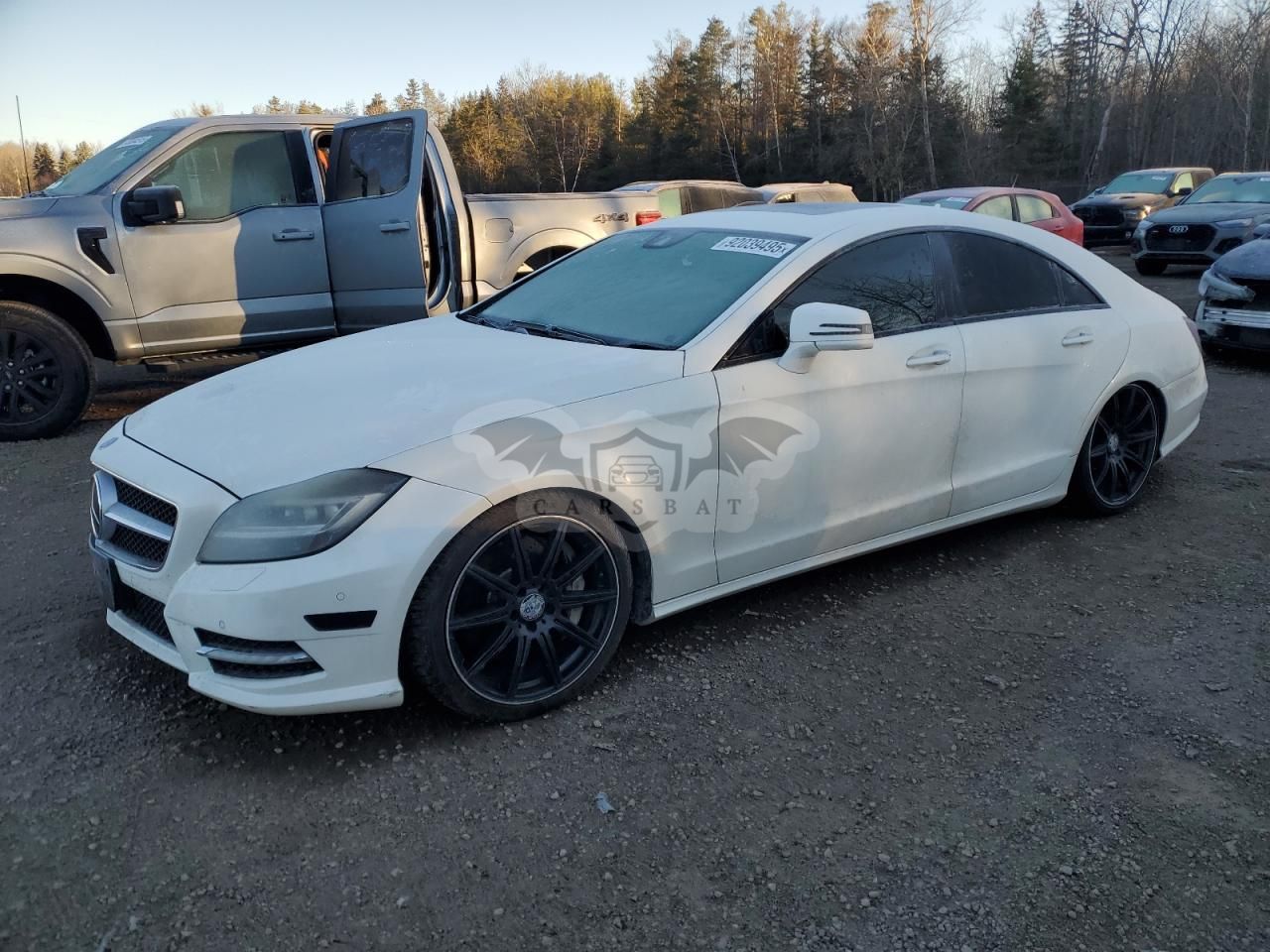 Mercedes-Benz CLS 550 4MATIC 4.6L 8 2014