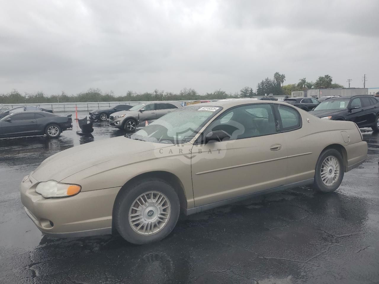Chevrolet Monte Carlo LS 3.4L 6 2002