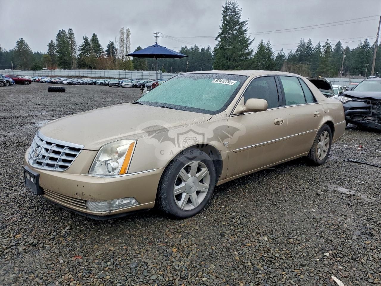 Cadillac DTS 4.6L 8 2006