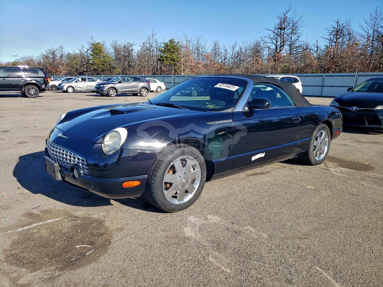 Ford Thunderbird 3.9L 8 2002