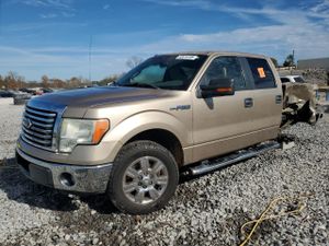 Ford F-150 SUPERCREW 5.0L 8 2011
