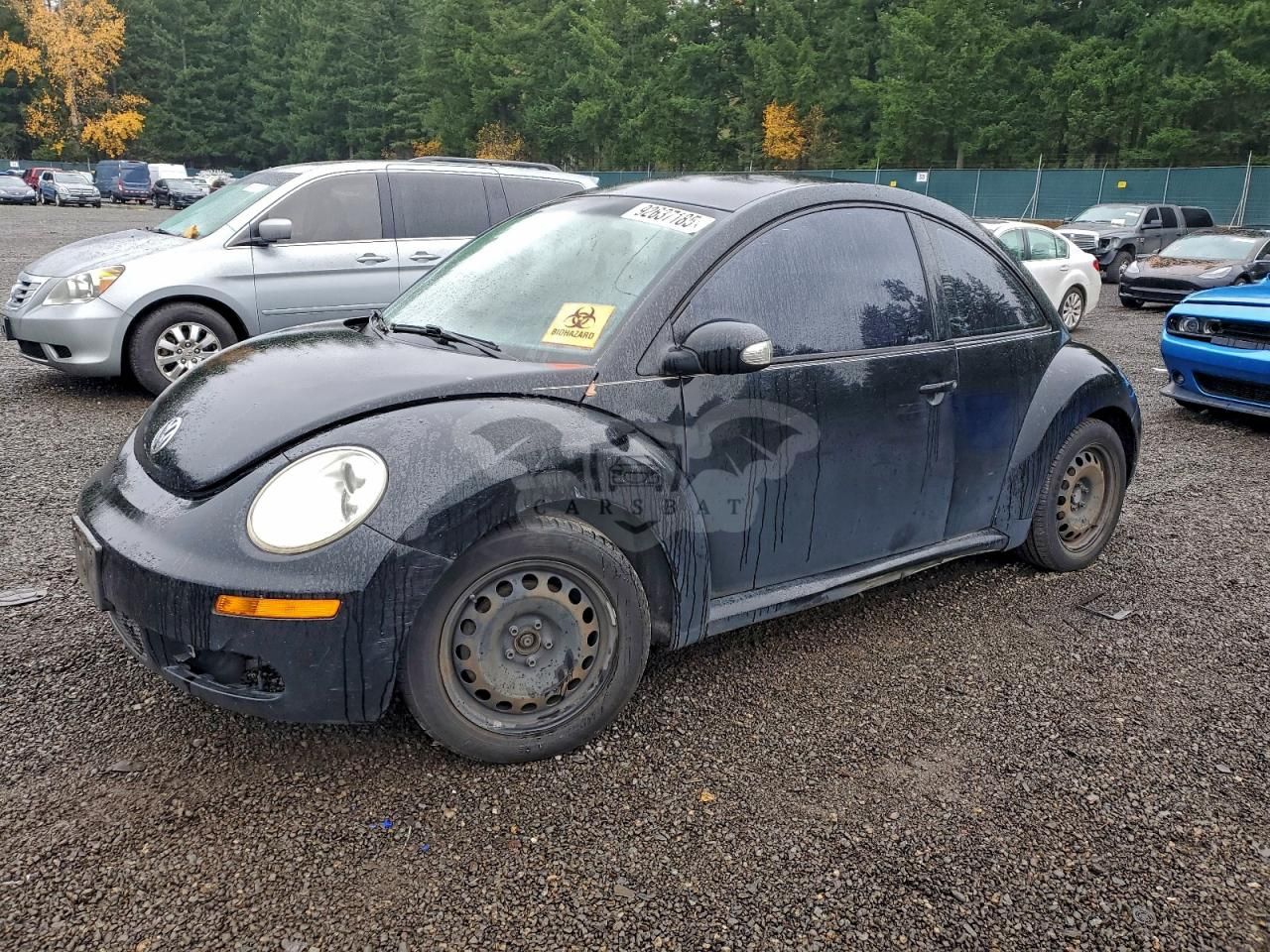 Volkswagen Beetle 2.5L 5 2010