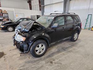 Ford Escape XLT 2.5L 4 2010