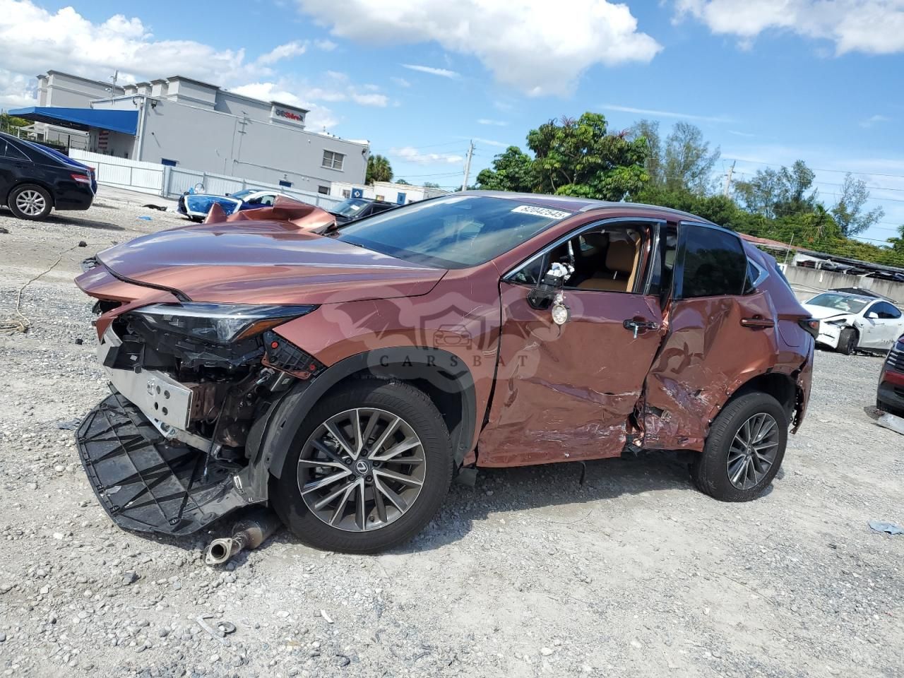 Lexus NX 250 BASE 2.5L 4 2025