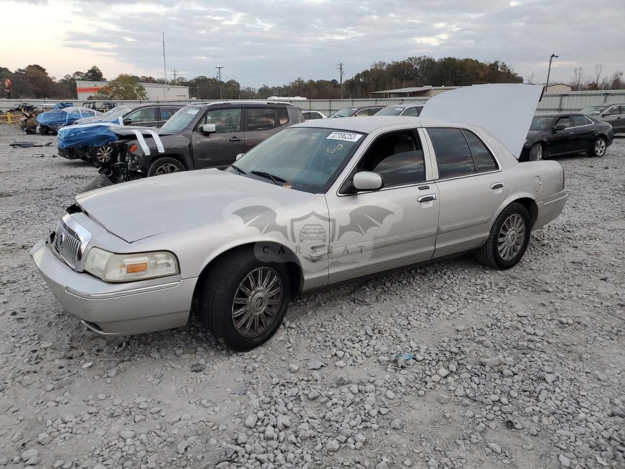 Mercury Grand Marquis LS 4.6L 8 2011
