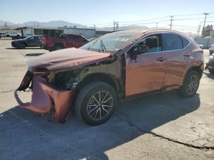 Lexus NX 2.5L 4 2025