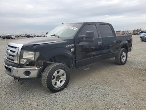 Ford F-150 SUPERCREW 5.4L 8 2009