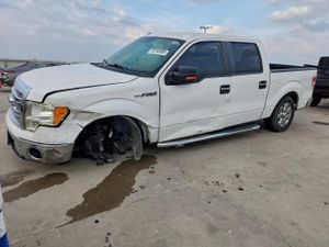 Ford F-150 SUPERCREW 5.0L 8 2014