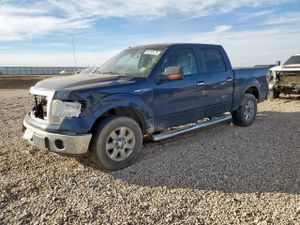Ford F-150 SUPERCREW 5.0L 8 2014