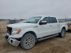Ford F-150 SUPERCREW 5.0L 8 2013