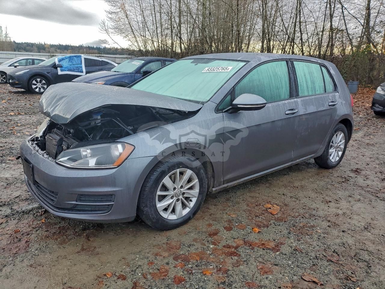 Volkswagen Golf 1.8L 4 2015
