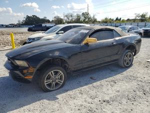 Ford Mustang 4.0L 6 2010