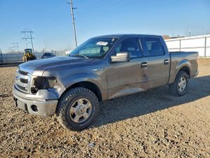 Ford F-150 SUPERCREW 5.0L 8 2013