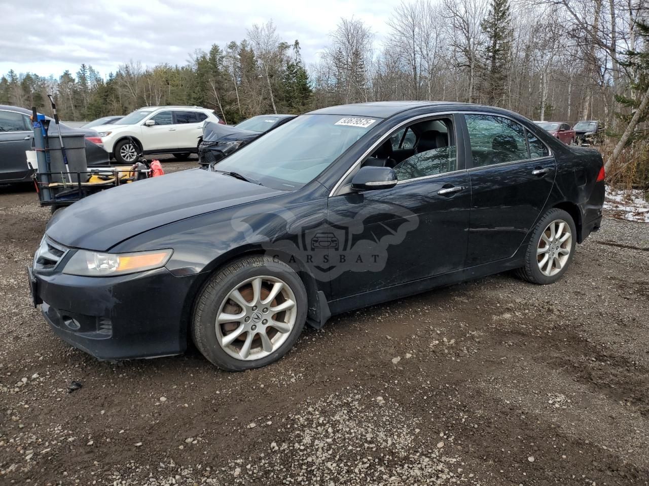 Acura TSX 2.4L 4 2006