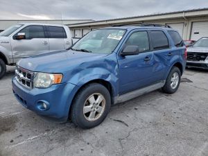 Ford Escape XLT 2.5L 4 2010