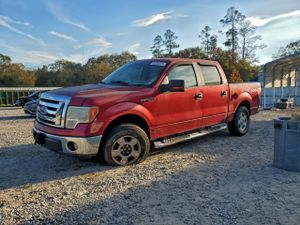 Ford F-150 SUPERCREW 5.4L 8 2010