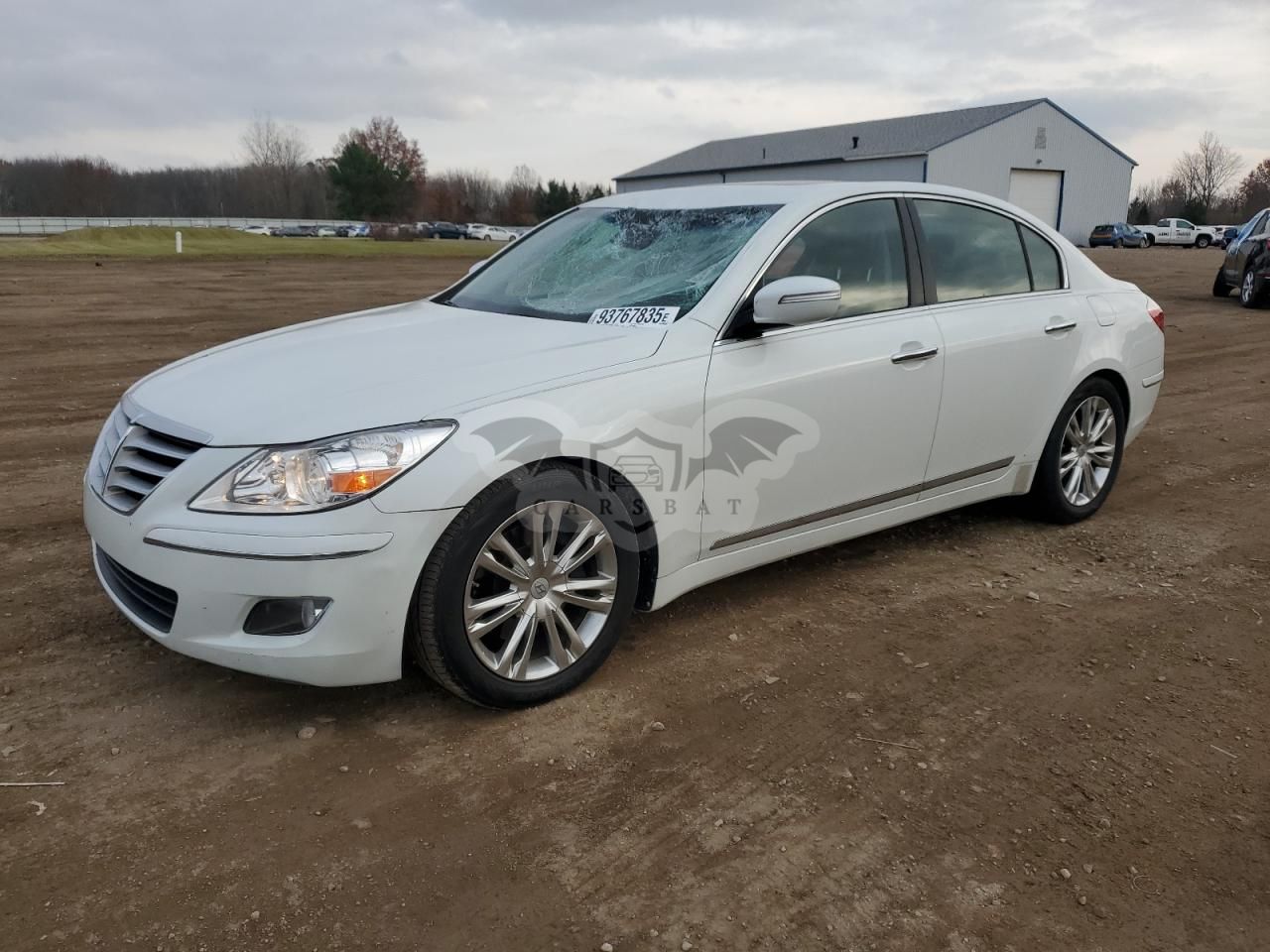 Hyundai Genesis 4.6L 4.6L 8 2010
