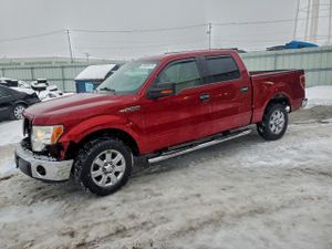 Ford F-150 SUPERCREW 5.0L 8 2013