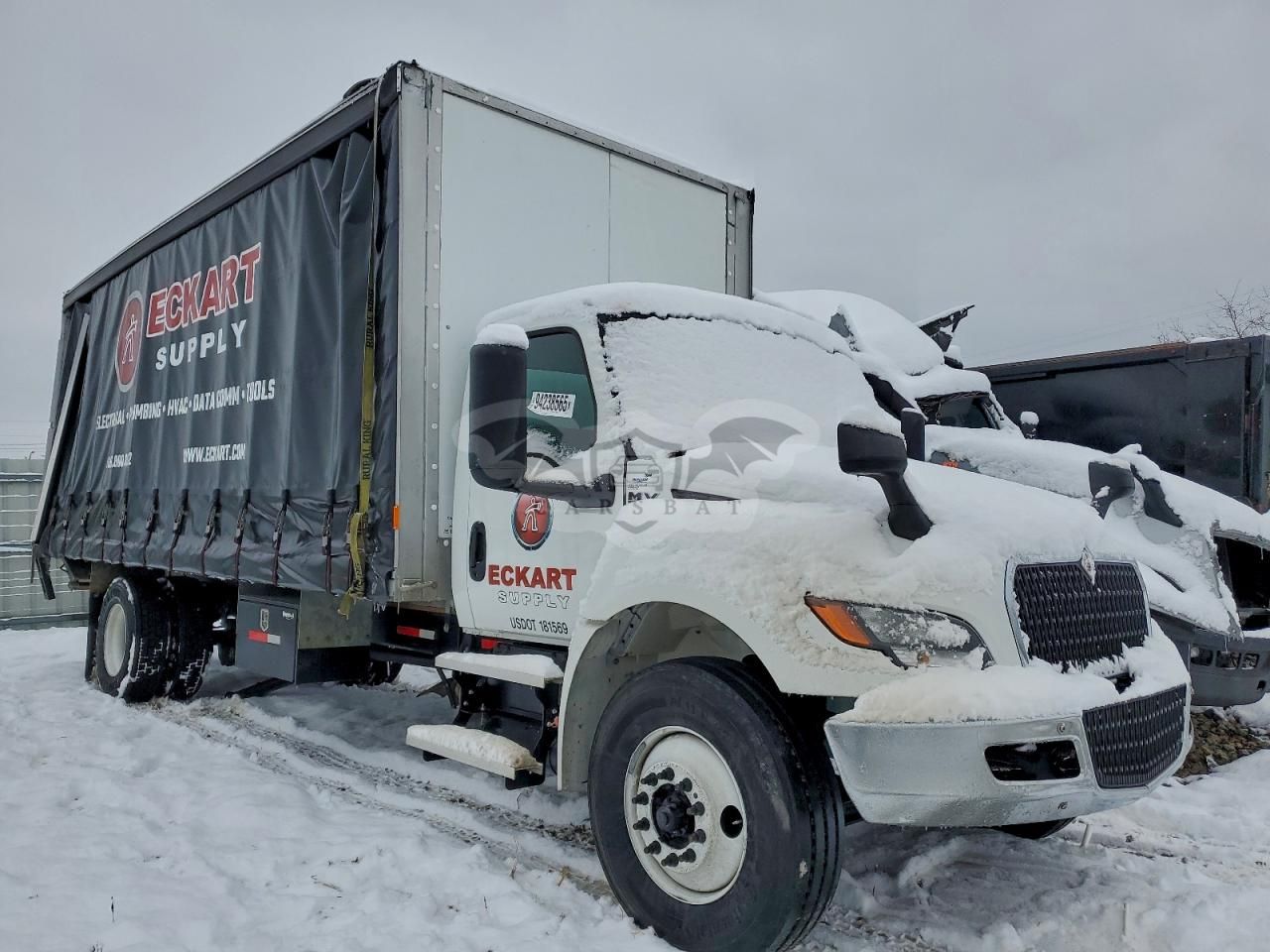 International MV Series 6.7L 6 2025
