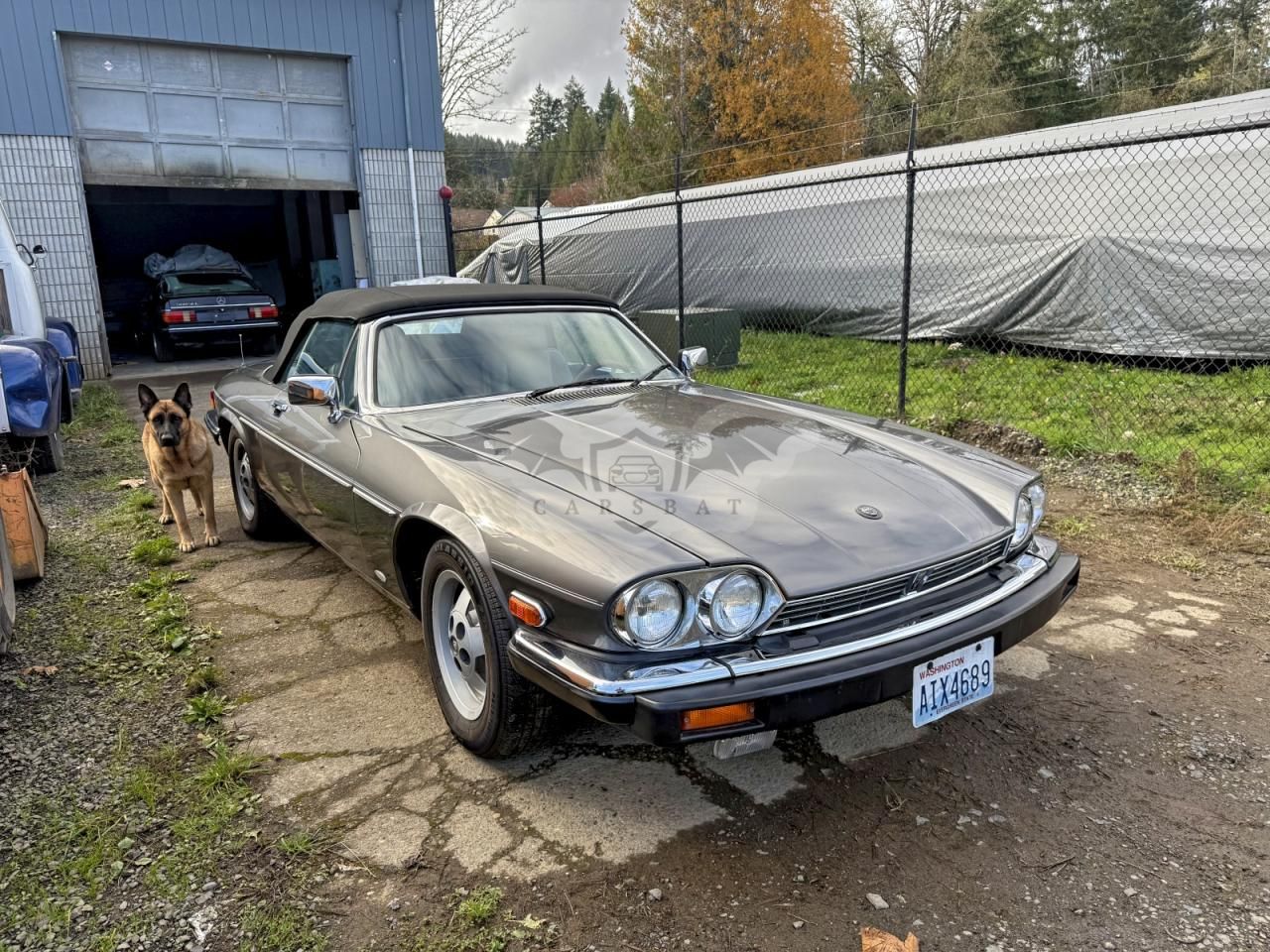 Jaguar XJS 5.3L 12 1988
