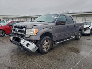 Ford F-150 SUPERCREW 5.0L 8 2014