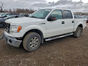 Ford F-150 SUPERCREW 5.0L 8 2013