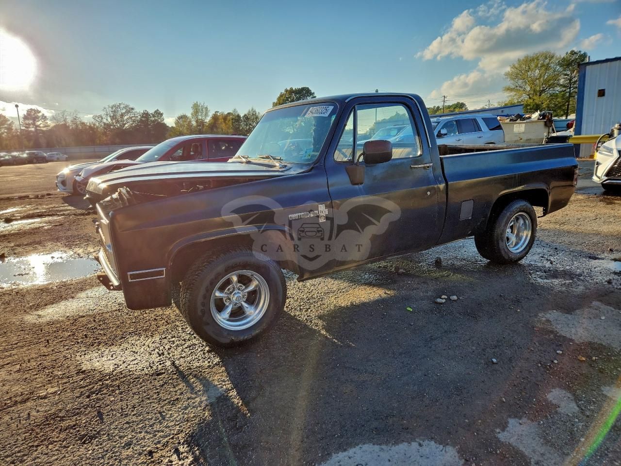 Chevrolet C-10 5.0L 8 1981
