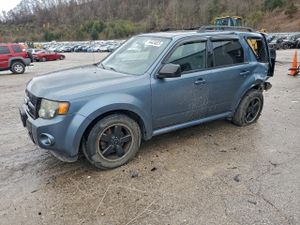 Ford Escape XLT 2.5L 4 2011