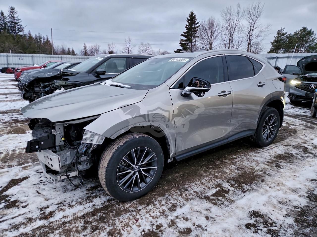 Lexus NX 250 2.5L 4 2022