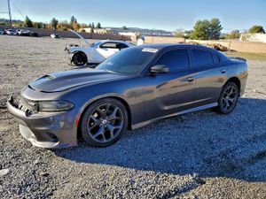 Dodge Charger R/T 5.7L 8 2019